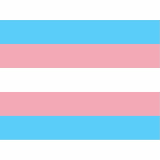 Transgender Pride Flag Staand Fotobeeldje (Voorkant)