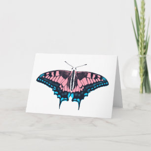 Transgender Pride Flag Swallowtail Butterfly Kaart