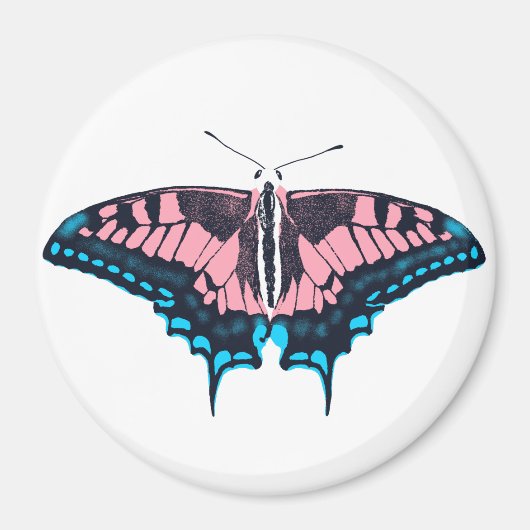 Transgender Pride Flag Swallowtail Butterfly Magneet (Voorkant)