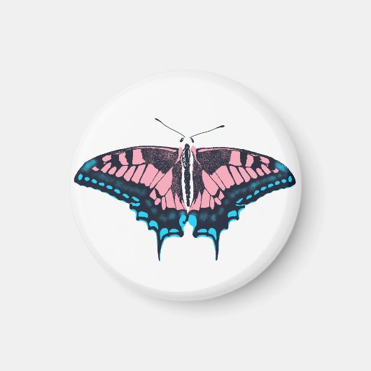 Transgender Pride Flag Swallowtail Butterfly Magneet (Voorkant)