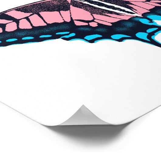 Transgender Pride Flag Swallowtail Butterfly Poster (Hoek)