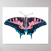 Transgender Pride Flag Swallowtail Butterfly Poster (Voorkant)