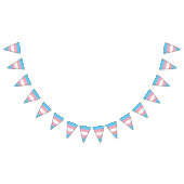 Transgender Pride Flag Vlaggetjes (Alle)