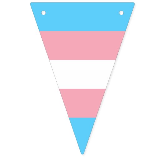 Transgender Pride Flag Vlaggetjes (Tweede vlag)