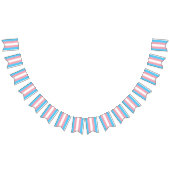 Transgender Pride Flag Vlaggetjes (Alle)