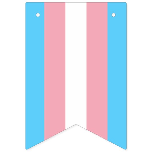 Transgender Pride Flag Vlaggetjes (Eerste vlag)