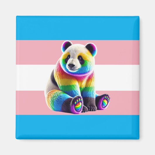 Transgender Pride Flag with Rainbow Panda Magneet (Voorkant)