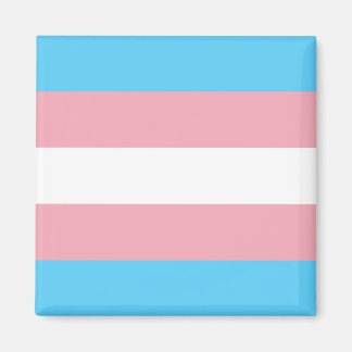 Transgender Pride Magneet
