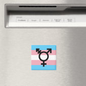 Transgender Pride Magnet (Insitu (Vaatwasser))