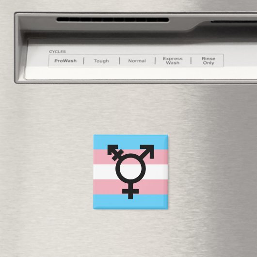 Transgender Pride Magnet (Insitu (Vaatwasser))