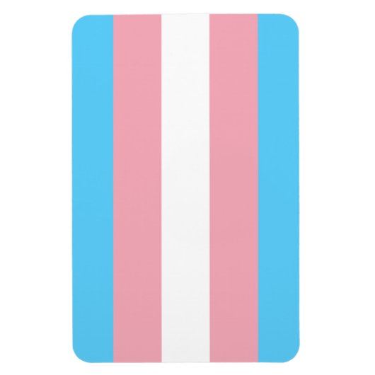 Transgender Pride Magnet Magneet (Verticaal)