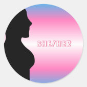 Transgender Pride MTF Stickers (Voorkant)