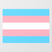 Transgender Pride Raamsticker (Vel)