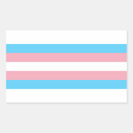 Transgender Pride Rectangle Sticker