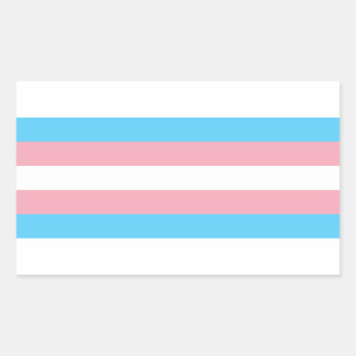 Transgender Pride Rectangle Sticker