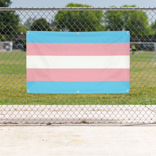 Transgender Pride Spandoek (Insitu)