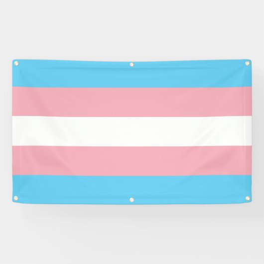 Transgender Pride Spandoek (Horizontaal)