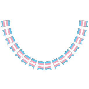 Transgender pride vlag banner