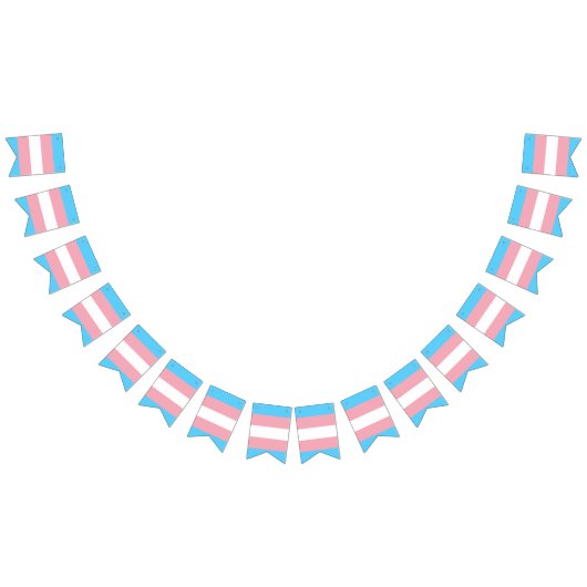 Transgender pride vlag banner (Alle)