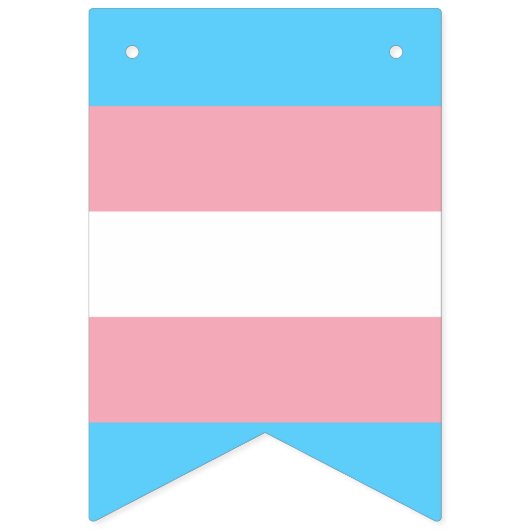 Transgender pride vlag banner (Tweede vlag)