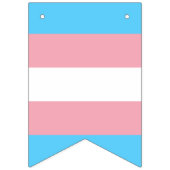 Transgender pride vlag banner (Eerste vlag)