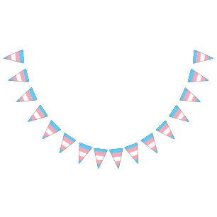 Transgender pride vlag banner