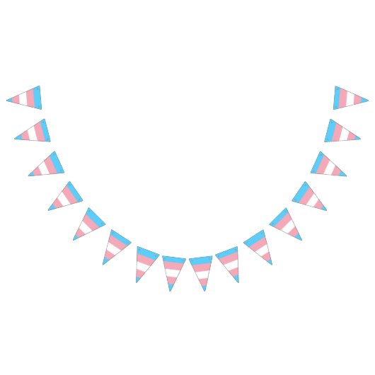 Transgender pride vlag banner (Alle)