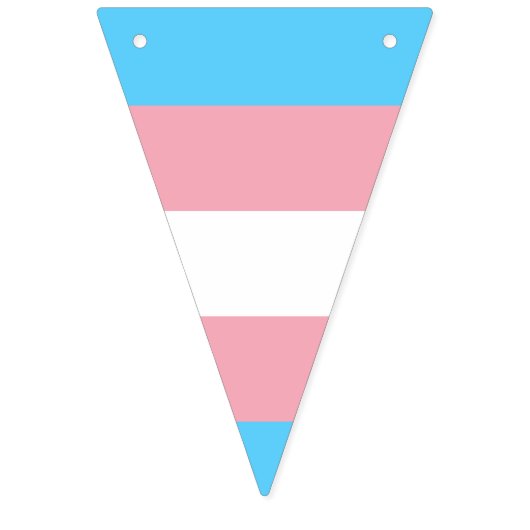 Transgender pride vlag banner (Derde vlag)