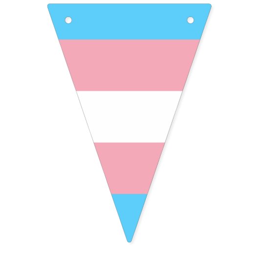Transgender pride vlag banner (Tweede vlag)