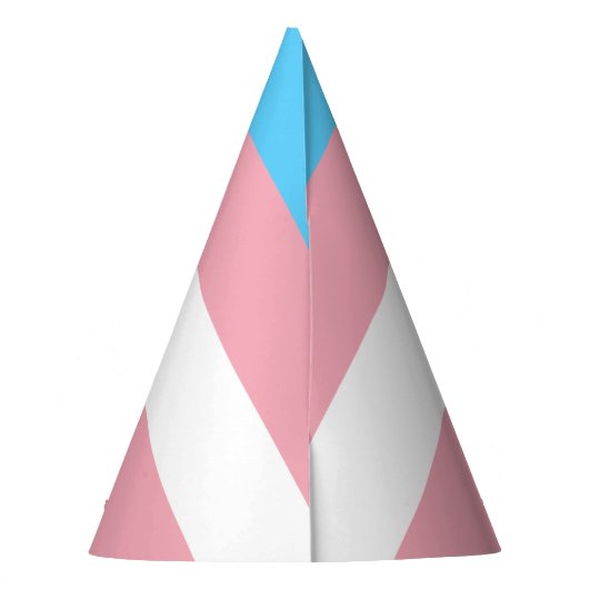 Transgender pride vlag feesthoedjes (Achterkant)