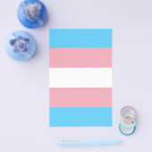 Transgender Pride-vlag Flyer (Enkel)