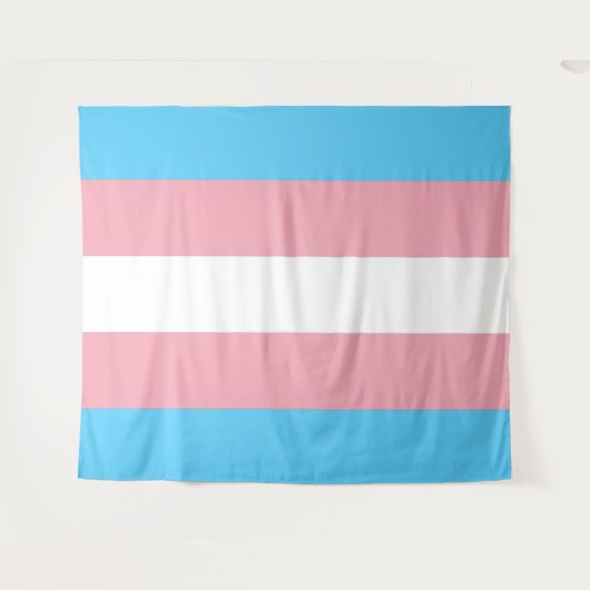 Transgender Pride Vlag Horizontaal Wandkleed (Voorkant (horizontaal))