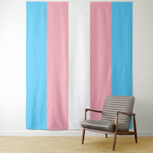 Transgender Pride Vlag Horizontaal Wandkleed (In situ)
