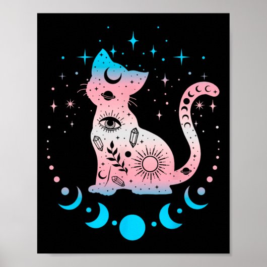 Transgender Pride Vlag Kleuren Kattenliefhebbers Poster (Voorkant)