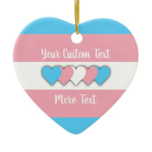 Transgender pride vlag met tekst