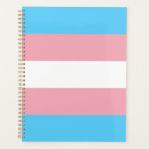 Transgender Pride Vlag modern