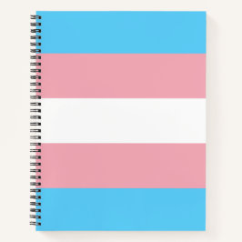 Transgender Pride vlag Notitieboek