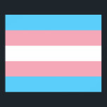 Transgender Pride vlag Poster<br><div class="desc">Dit ontwerp omvat de Transgender Pride Flag, die bedoeld is om transseksuele gemeenschappen, organisaties en individuen over de hele wereld te vertegenwoordigen. Het is ontworpen door Monica Helms, een transgenderactivist, auteur en veteraan van de Amerikaanse marine. Ze beschrijft de vlag als volgt: "De strepen boven en onder zijn lichtblauw, de...</div>