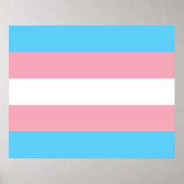 Transgender Pride vlag Poster