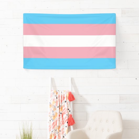 Transgender Pride vlag Spandoek (Insitu)