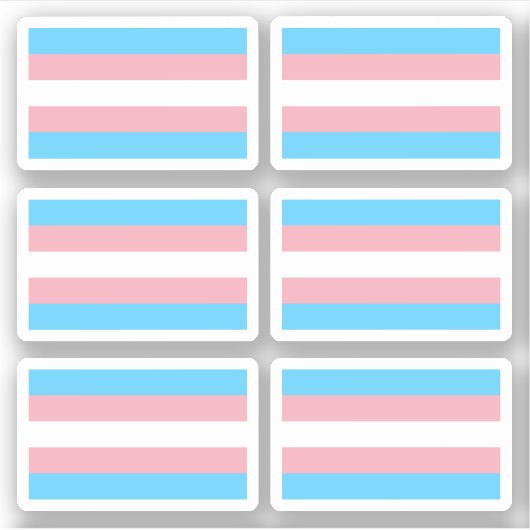Transgender Pride vlag Sticker (Voorkant)