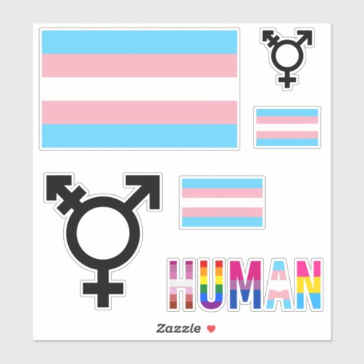 Transgender Pride-vlag-uitknipstickers Sticker (Vel)