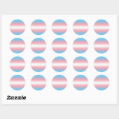Transgender Pride-vlagpatroonontwerp Ronde Sticker (Vel)