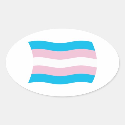 Transgender Pride-vlagsticker Ovale Sticker (Voorkant)