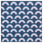 Transgender Rainbow Blue Roze White Stof (Swatch)