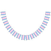 Transgender Vlag Bunting Banner LGBT Party (Alle)