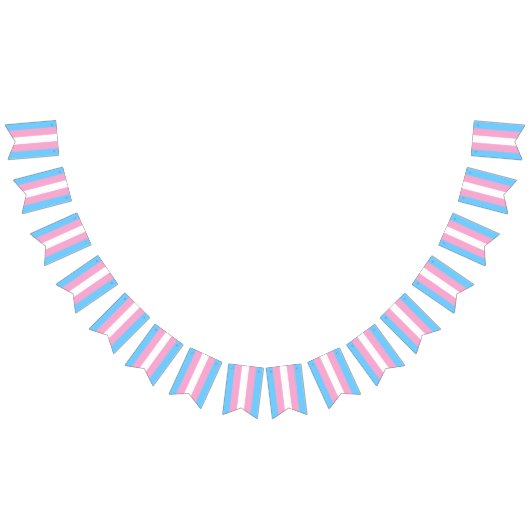 Transgender Vlag Bunting Banner LGBT Party (Alle)