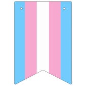 Transgender Vlag Bunting Banner LGBT Party (Tweede vlag)