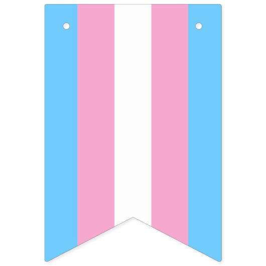 Transgender Vlag Bunting Banner LGBT Party (Tweede vlag)