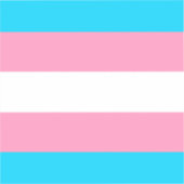 Transgender Vlag | LGBTQIA+  Sticker (Voorkant)